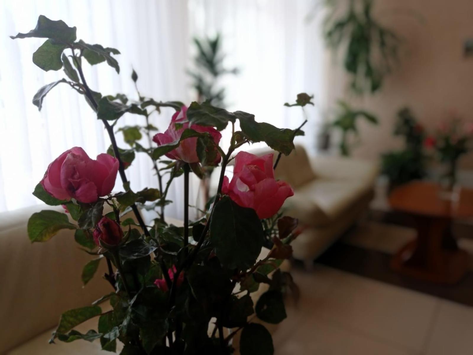 Volyn Hotel Ludmir Volodymyr-Volynsʼkyy Εξωτερικό φωτογραφία